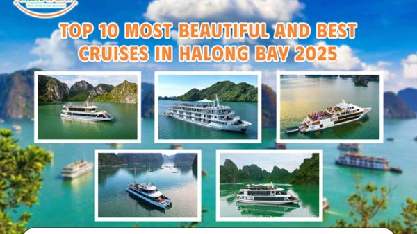 Top 10 Most Beautiful and Best Cruises in HaLong Bay 2025