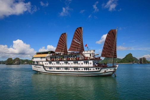 Paloma Cruise