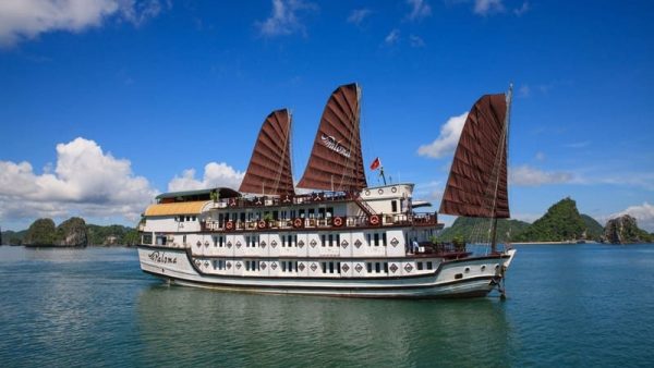 Paloma Cruise