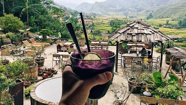 ta van sapa