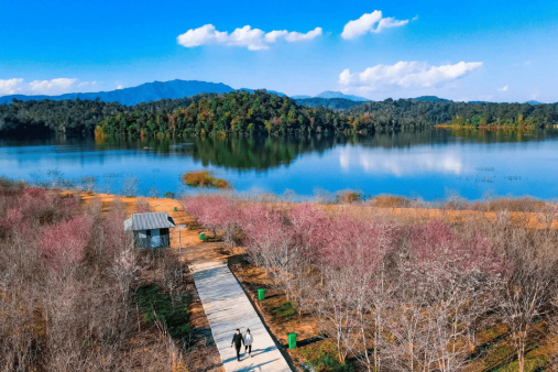 Pa Khoang Lake (Muong Phang, Dien Bien) – Peaceful in Thai village