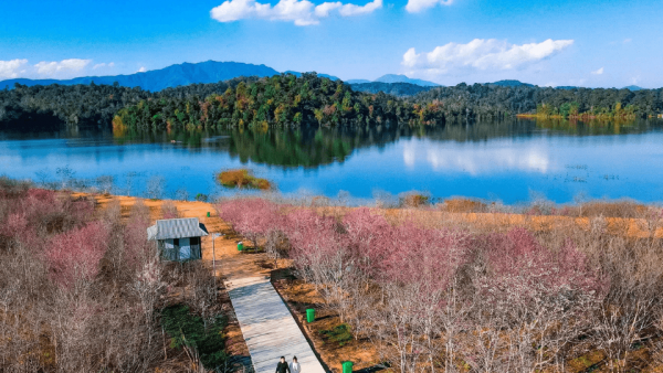 Pa Khoang Lake (Muong Phang, Dien Bien) – Peaceful in Thai village
