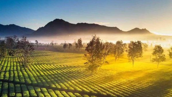 10 Tourist Destinations Central Highlands Vietnam 2026