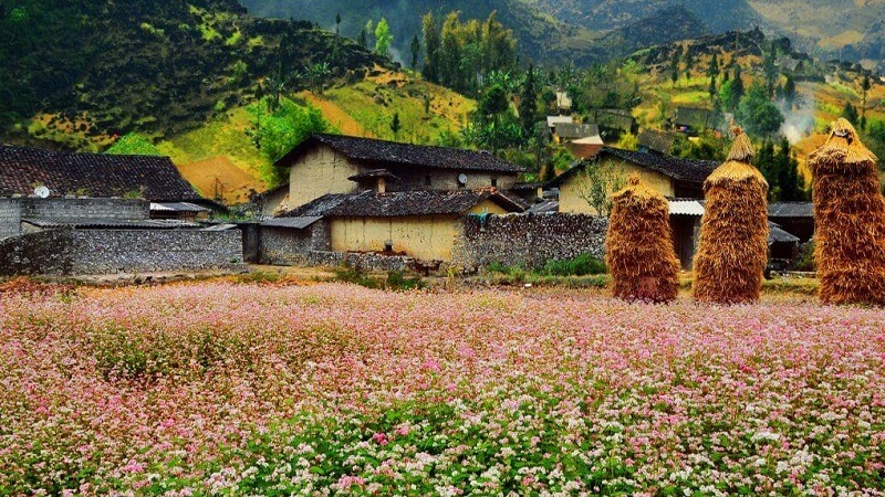 The Valley of Love