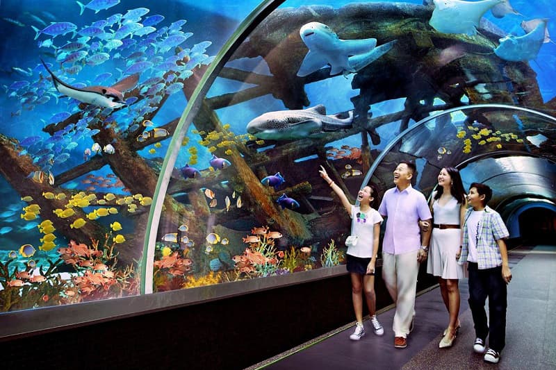 Sea World Nha Trang Aquarium