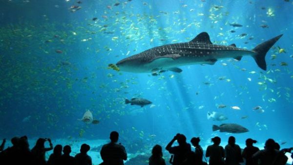 Nha Trang Institute of Oceanography