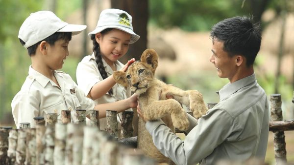 Vinpearl Safari – Explore the world of wild animals