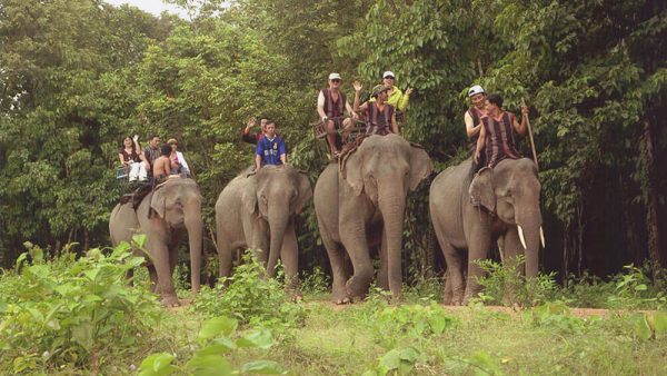 Yok Don National Park